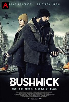 Bushwick(2017)