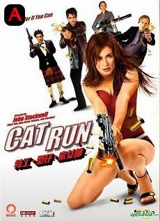 Cat Run